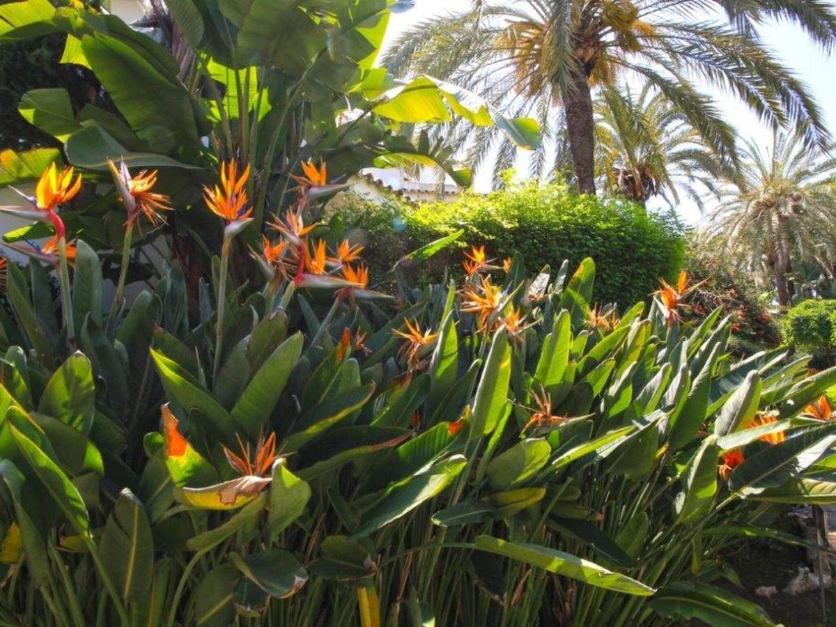 Belvilla By Oyo Golden Beach House Marbella Buitenkant foto